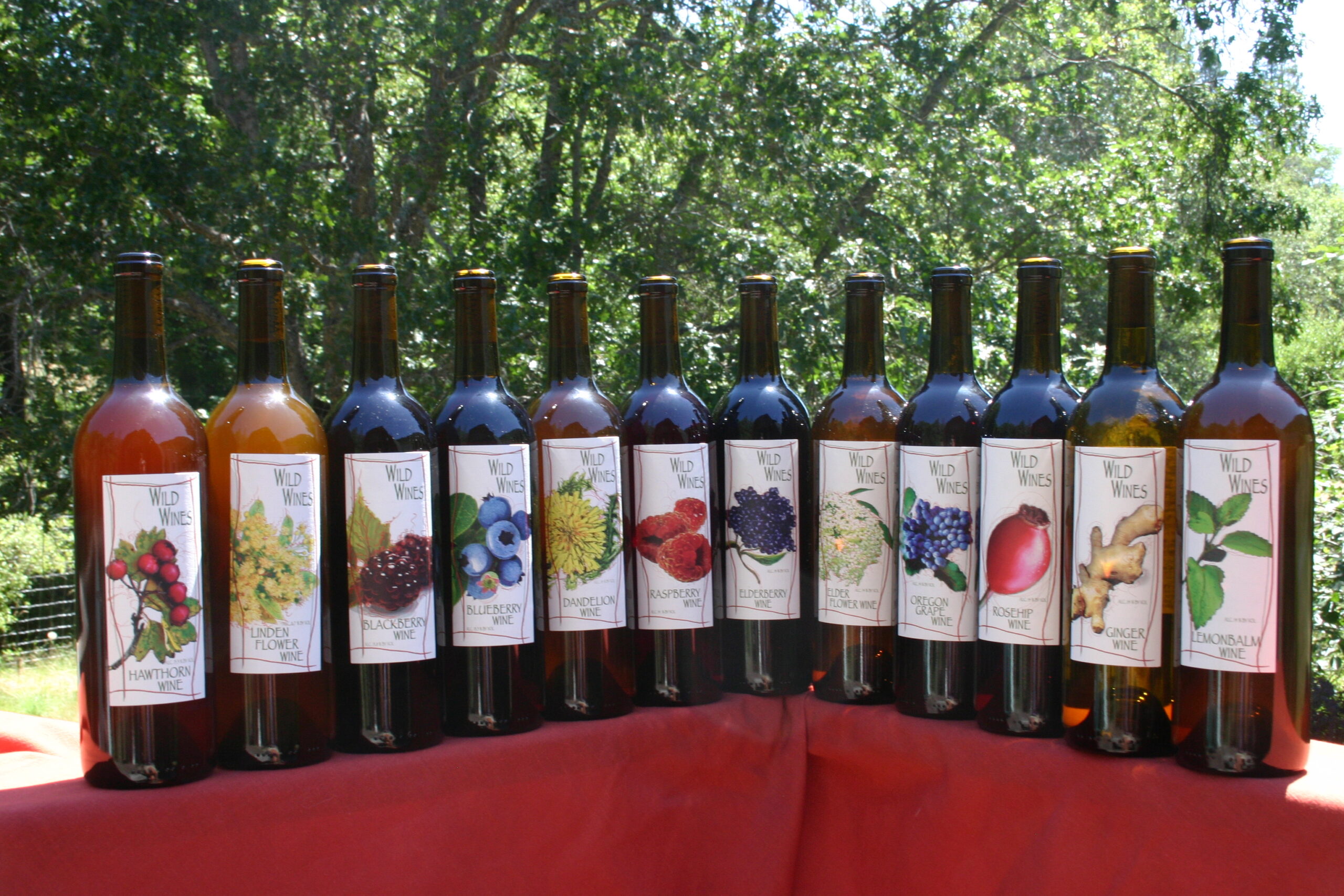 All You Ever Wanted to Know about Wild Wines
