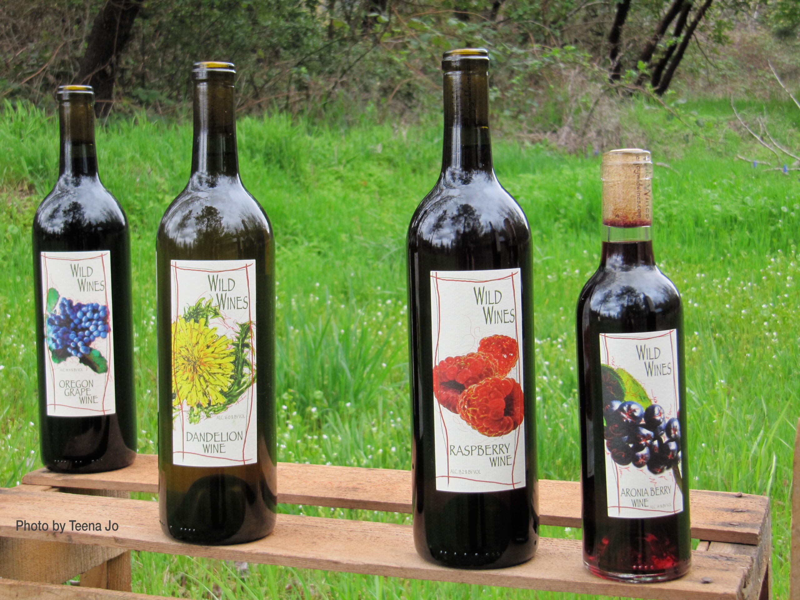 Wine Tasting Near You Wild Wines Dry Fruit Wines 541 899 1565